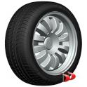 Padangos Double Coin 225/45 R17 94W XL DC100 DC