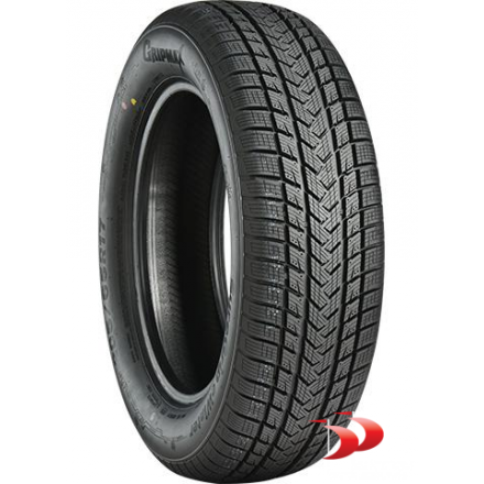 Gripmax 205/40 R17 84V XL Suregrip E Winter