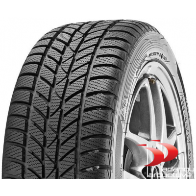 Hankook 205/70 R15 96T Winter I*cept RS (W442)