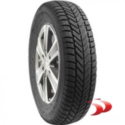 Malatesta 165/65 R14 79T Artic Lengvųjų automobilių padangos