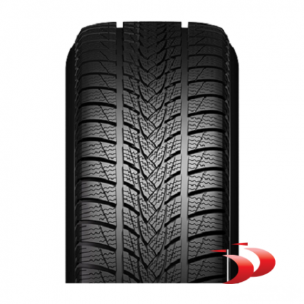 Minerva 205/45 R17 88V XL Frostrack UHP