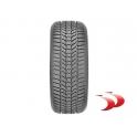 Padangos Sava 225/45 R17 94V Eskimo HP2